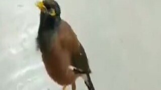 প্রতীকী ছবি ৷