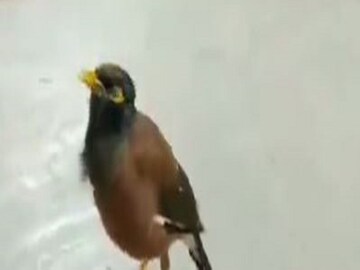 প্রতীকী ছবি ৷