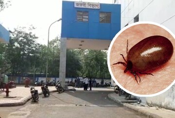 সিউড়ি