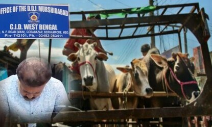 গরু পাচার কান্ডে ধৃত জেনারুল সেখ কে নিয়ে যাচ্ছে সিআইডি গরু পাচার কান্ডে ধৃত জেনারুল সেখ কে নিয়ে যাচ্ছে সিআইডি