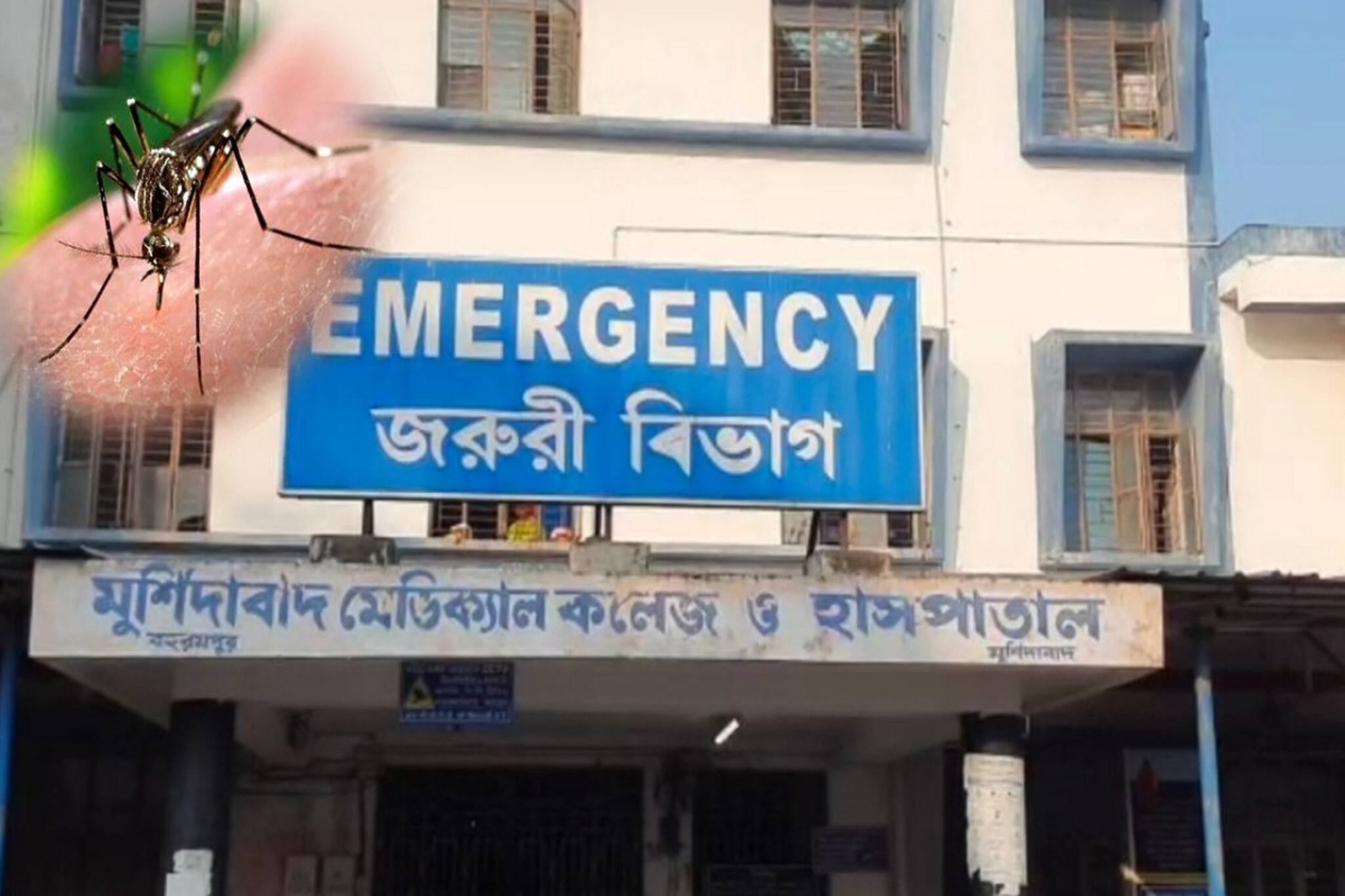Murshidabad News: পুজোর আগেই মুর্শিদাবাদে চোখ রাঙাচ্ছে ডেঙ্গু ও ম্যালেরিয়া, তৎপর প্রশাসন 