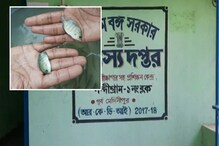 কেরালার অতি জনপ্রিয় “ক্যারিমীন” মাছের চাষ হচ্ছে নন্দীগ্রামে কেরালার অতি জনপ্রিয় “ক্যারিমীন” মাছের চাষ হচ্ছে নন্দীগ্রামে