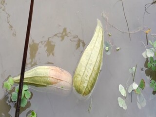 নিজস্ব ছবি  ৷