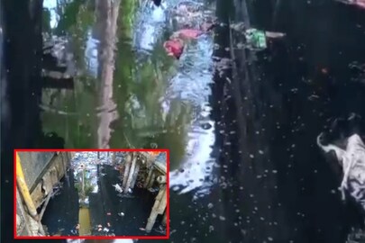 জমা জলে বাড়ছে মশা