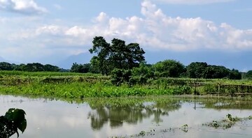 সংকোশ