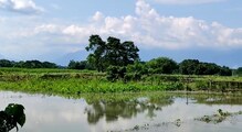 নদীর প্রতি অভিমানে বিত্তিবাড়িতে এসে পৌঁছায় না দুর্গাপুজোর আগমনী বার্তা নদীর প্রতি অভিমানে বিত্তিবাড়িতে এসে পৌঁছায় না দুর্গাপুজোর আগমনী বার্তা