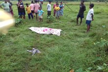 ফের হাতির হানায় মৃত্যু আলিপুরদুয়ারে! এবার বীরপাড়া সরুগাঁও এলাকায়