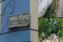 ডেঙ্গি সংক্রমণ বর্ধমানে, পরিস্থিতি সামাল দিতে তৎপর পৌরসভা ডেঙ্গি সংক্রমণ বর্ধমানে, পরিস্থিতি সামাল দিতে তৎপর পৌরসভা