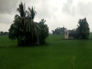 নিজস্ব ছবি ৷