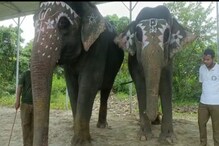 'লক্ষ্মী আর উর্মিলা'-র আরাধনা দিয়েই বিশ্বকর্মা পুজো হল বেঙ্গল সাফারি পার্কে 'লক্ষ্মী আর উর্মিলা'-র আরাধনা দিয়েই বিশ্বকর্মা পুজো হল বেঙ্গল সাফারি পার্কে