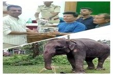 বন্যপ্রাণী ও মানুষের সঙ্ঘাত রোখার দাওয়াই, কুইক রেসপন্স টিম গঠন মাদারিহাটে