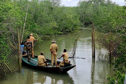 বনদফতরের চেকিং