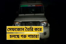 সেফ জোন তৈরি করেই চলছে গরু পাচার! হচ্ছে ভিনরাজ্য থেকেও