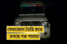 সেফ জোন তৈরি করেই চলছে গরু পাচার! হচ্ছে ভিনরাজ্য থেকেও সেফ জোন তৈরি করেই চলছে গরু পাচার! হচ্ছে ভিনরাজ্য থেকেও