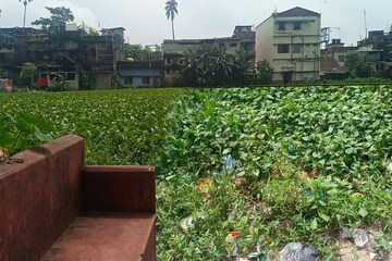রাজ