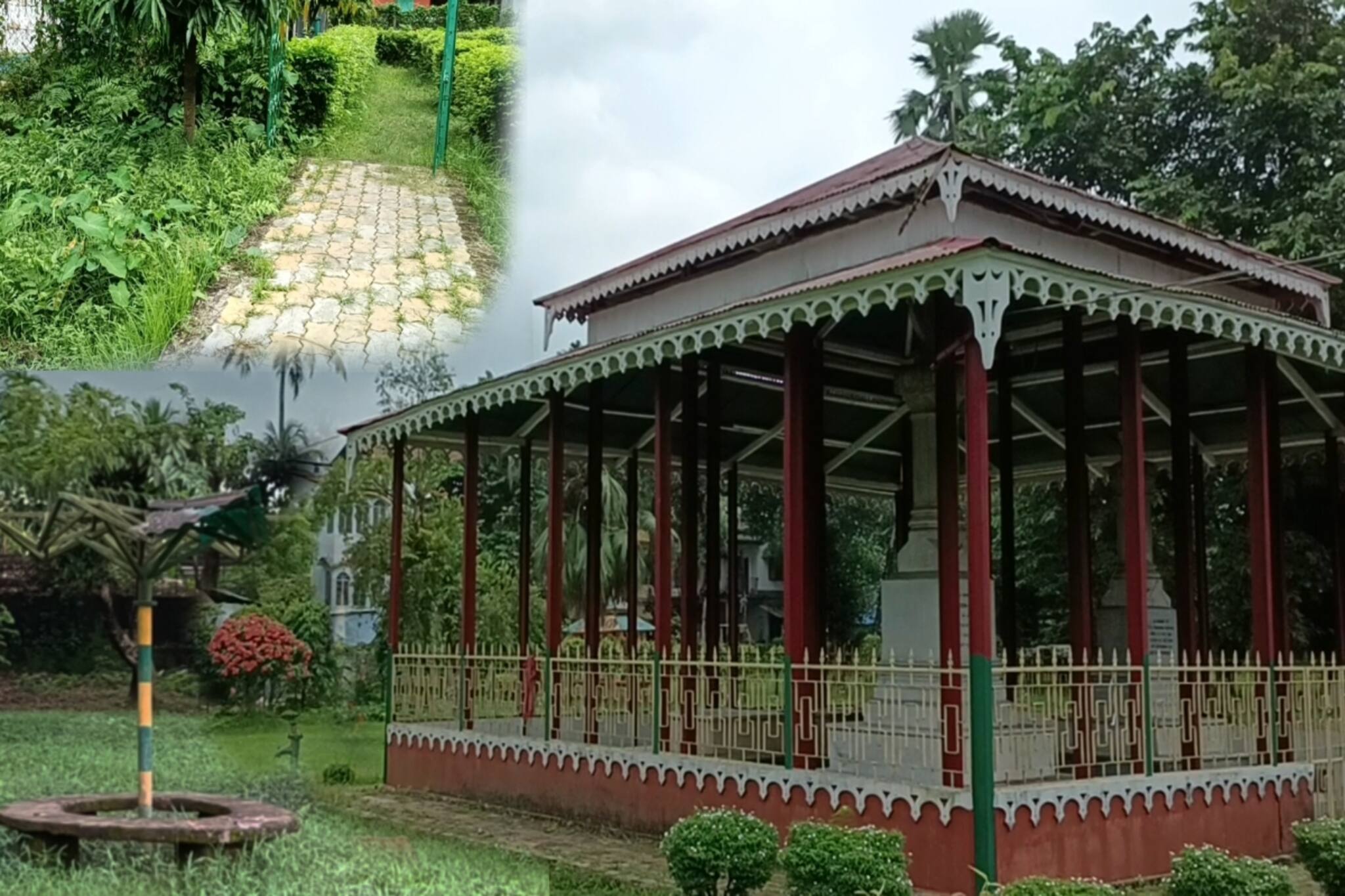 Cooch Behar News: নামেই রানি বাগান! জঙ্গল ও আগাছায় ভর্তি বাগানে বাড়েছে সাপের উপদ্রব