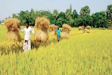 ফসলের রোগ নিরাময় নিয়ে প্রশিক্ষণ শিবির কালনায় ফসলের রোগ নিরাময় নিয়ে প্রশিক্ষণ শিবির কালনায়