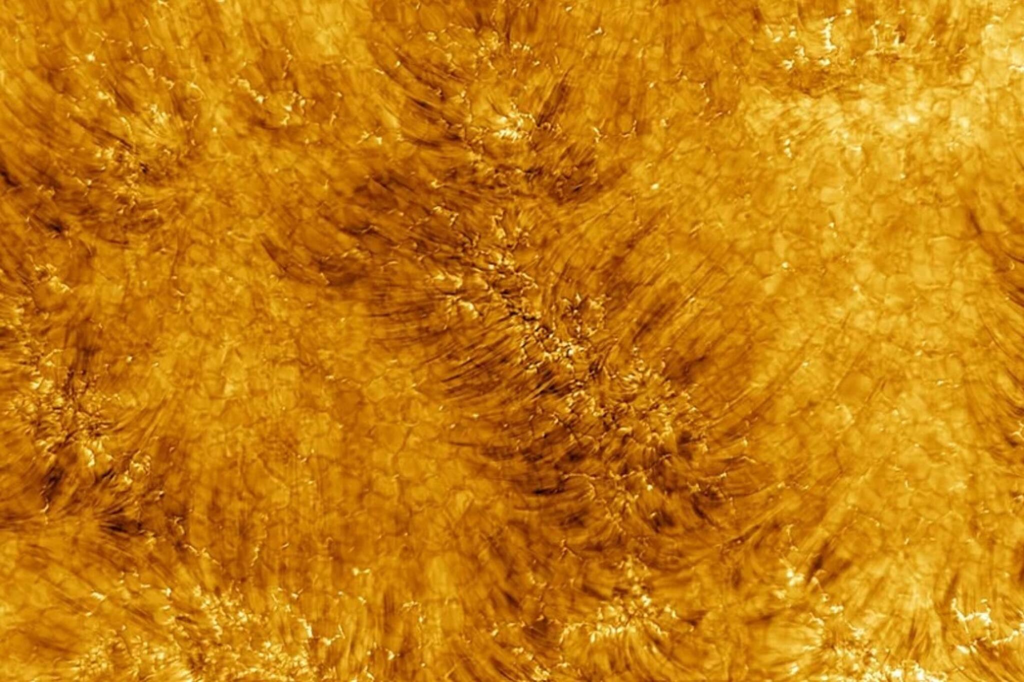 Sun: কেমন দেখতে সূর্যকে! সৌর দূরবীনে ধরা পড়ল পূর্ণগ্রাসের ছবি! সূর্যতেও আছে করোনা! জানুন