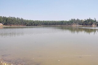 ভাবাদিঘি