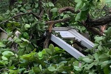 ভাঙল 'প্রাণের আরাম, মনের আনন্দ, আত্মার শান্তি', লণ্ডভণ্ড বিশ্বভারতীর ছাতিমতলা ভাঙল 'প্রাণের আরাম, মনের আনন্দ, আত্মার শান্তি', লণ্ডভণ্ড বিশ্বভারতীর ছাতিমতলা