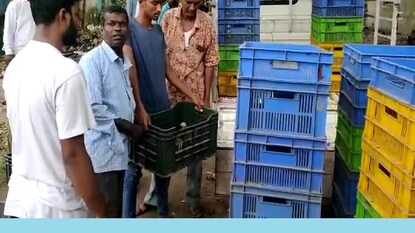 Chicks distributed for women empowerment in Purba Bardhaman Chicks distributed for women empowerment in Purba Bardhaman