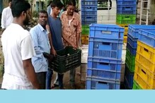 পুজোর আগে খুশির উপহার, মহিলাদের স্বনির্ভর করতে বিলি হল মুরগীর বাচ্চা পুজোর আগে খুশির উপহার, মহিলাদের স্বনির্ভর করতে বিলি হল মুরগীর বাচ্চা