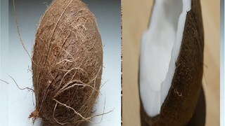 simple ways to break coconut in 2 minutes without katari simple ways to break coconut in 2 minutes without katari