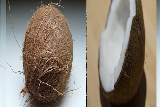 Durga Puja 2022: Coconut