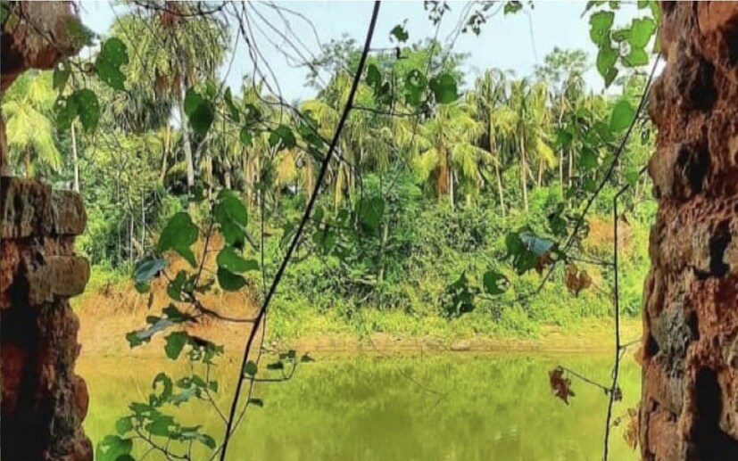 *এ বছর দুর্গা পুজোয় পর্যটকদের জন্য রাজবাড়িতে থেকে পুজো দেখার সুযোগ থাকছে, তার জন্য রাজবাড়ির ভিতর চালু করা হবে ৫ টি রুম বিশিষ্ট হোম-স্টের ব্যবস্থা। পর্যটকরা পুজোর ক-দিন রাজবাড়িতে রাত্রিযাপন করে রাজকীয় খাবার দাবার-সহ পুজো দেখা ও রাজবাড়ির ইতিহাস ঘুরে দেখতে পারবেন এমনটাই জানান রাজবাড়ির বর্তমান সদস্যরা।