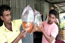 পথ দেখাচ্ছে নতুন ব্যবসা, সামান্য ব্যয়ে সাফল্যের চূড়ায় শিলিগুড়ির মামা-ভাগ্নে পথ দেখাচ্ছে নতুন ব্যবসা, সামান্য ব্যয়ে সাফল্যের চূড়ায় শিলিগুড়ির মামা-ভাগ্নে