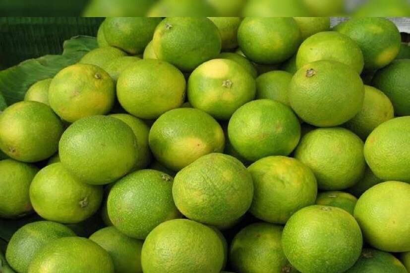 বিভিন্ন পলিফেনলিক যৌগের উপস্থিতিতে মুসাম্বি লেবু আমাদের কাছে গুণের আধার৷ মিনারেল, ডায়েটরি ফাইবার প্রচুর পরিমাণে থাকায় হজমের গণ্ডগোল ঠিক করতে এই বেলু অপরিহার্য৷ অরুচি, গা বমি ভাব, কোষ্ঠকাঠিন্য উপশমে নিয়মিত মুসাম্বি লেবুর রস পান করুন৷