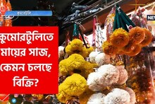 কুমারটুলির অন্দরমহলে কী ভাবে গড়ে ওঠে, সেজে ওঠে প্রতিমা, দেখুন ভিডিও