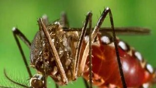 প্রতীকী ছবি