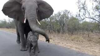 ভিডিওটি সম্প্রতি ভাইরাল হয়েছে সোশ্যাল মিডিয়ায়