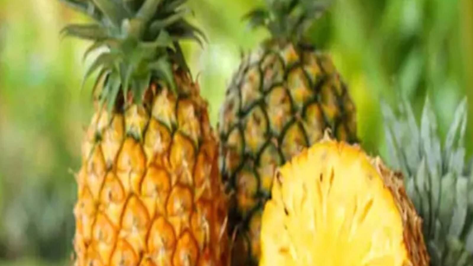 pineapple has wonderful health benefits in monsoon সর্দিকাশি থেকে