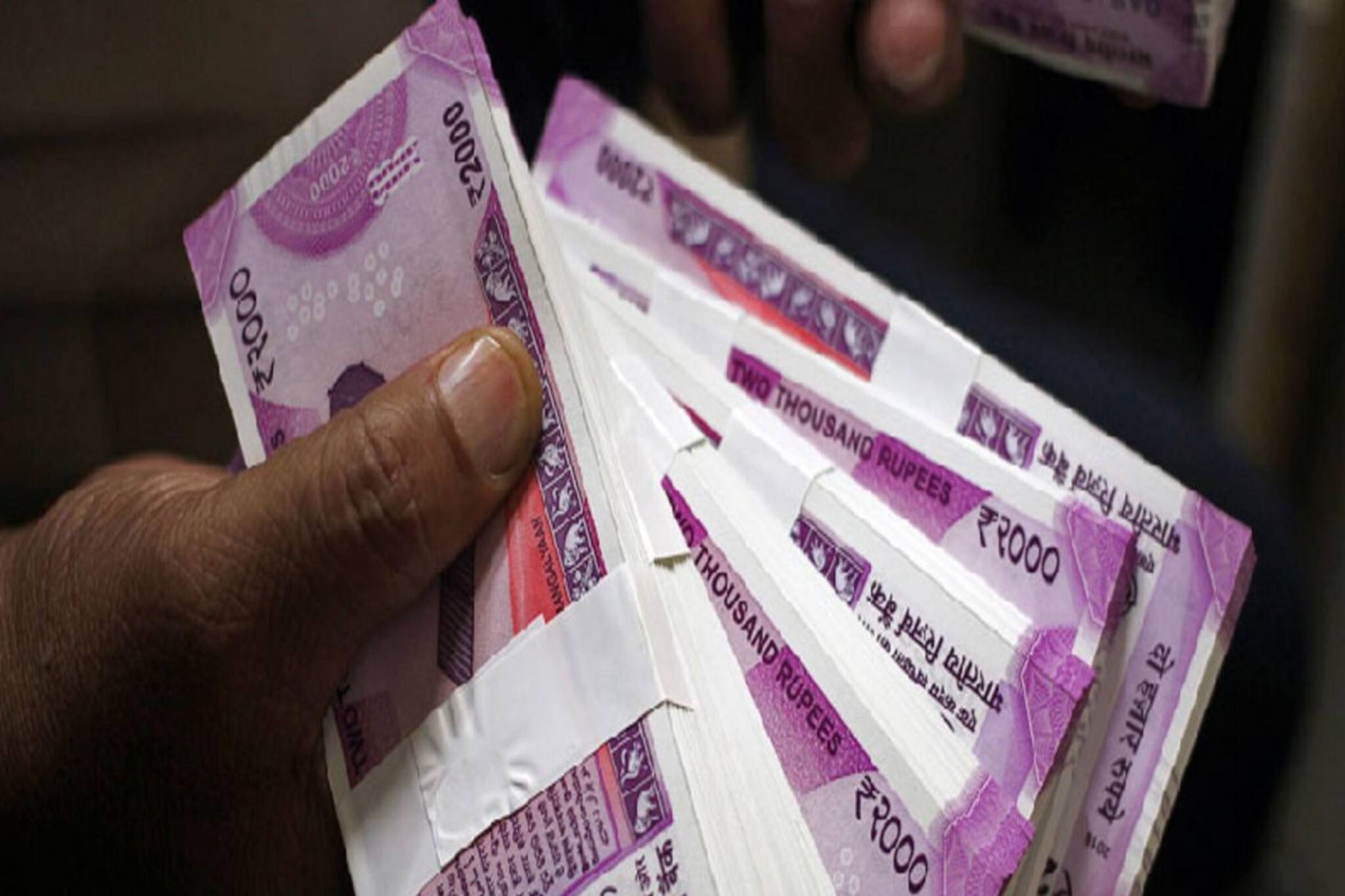 এই দুই সংস্থায় বিনিয়োগ করেছেন! আপনিও হতে পারেন ধন কুবের