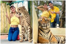 'পায়ে পড়ি বাঘ মামা, তুমি যে ঘরে কে তা জানত!' বেড়াতে গিয়ে বাঘের কবলে নুসরত-যশ!