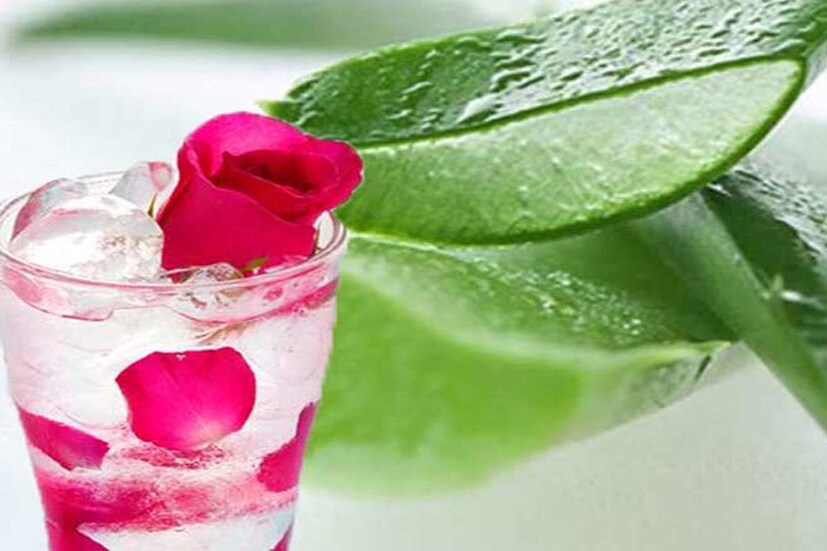 *অ্যালোভেরা জেল ও গোলাপ জল: অ্যালোভেরা জেল ভিটামিন সি সমৃদ্ধ। এটা ত্বককে কিছুটা হলেও ব্লিচ করে। এ ক্ষেত্রে ব্রণ কিংবা পিম্পল সেরে যাওয়ার পর যে কালো দাগ রয়ে গিয়েছে সেখানে সামান্য অ্যালোভেরা জেল লাগাতে হবে। তবে মাথায় রাখতে হবে, অ্যালোভেরা জেলে কারও কারও অ্যালার্জি হয়। তাই এর সঙ্গে সামান্য গোলাপ জলও মেশাতে হবে। প্রতীকী ছবি সংগৃহীত।