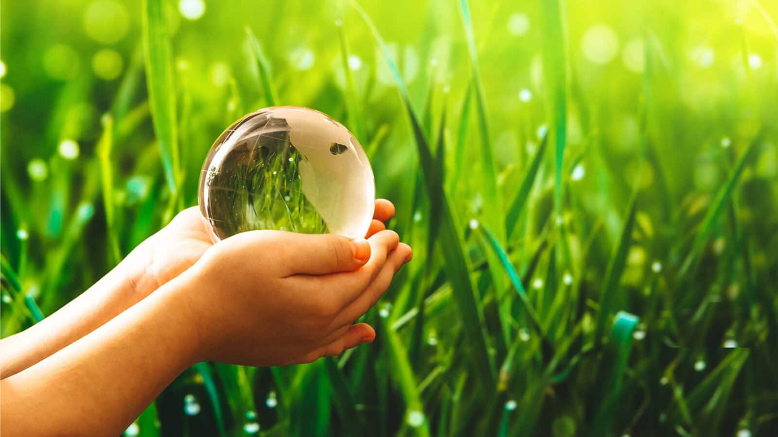 Tata Power: সাস্টেনেবল ইজ অ্যাটেনেবল