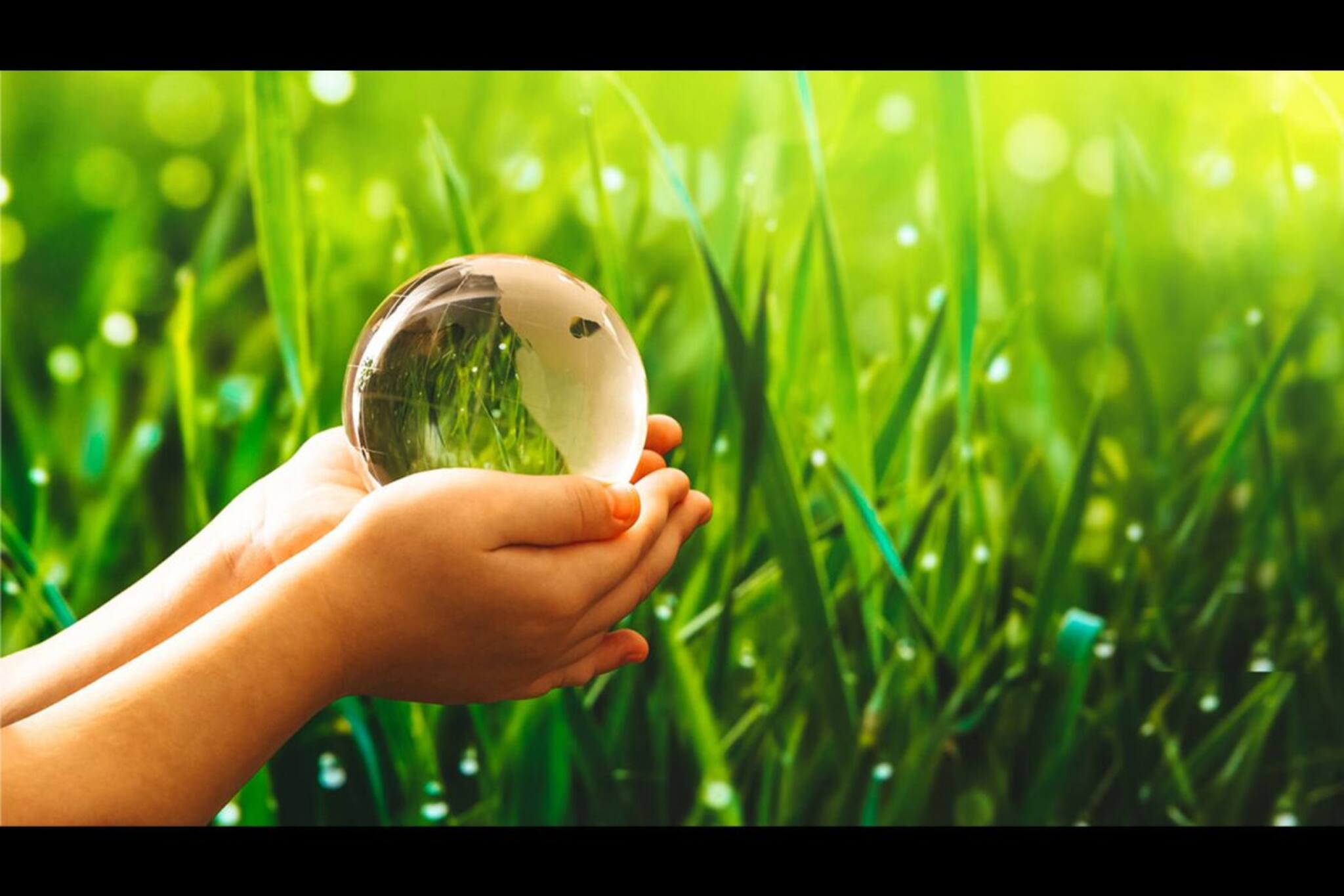 Tata Power: সাস্টেনেবল ইজ অ্যাটেনেবল