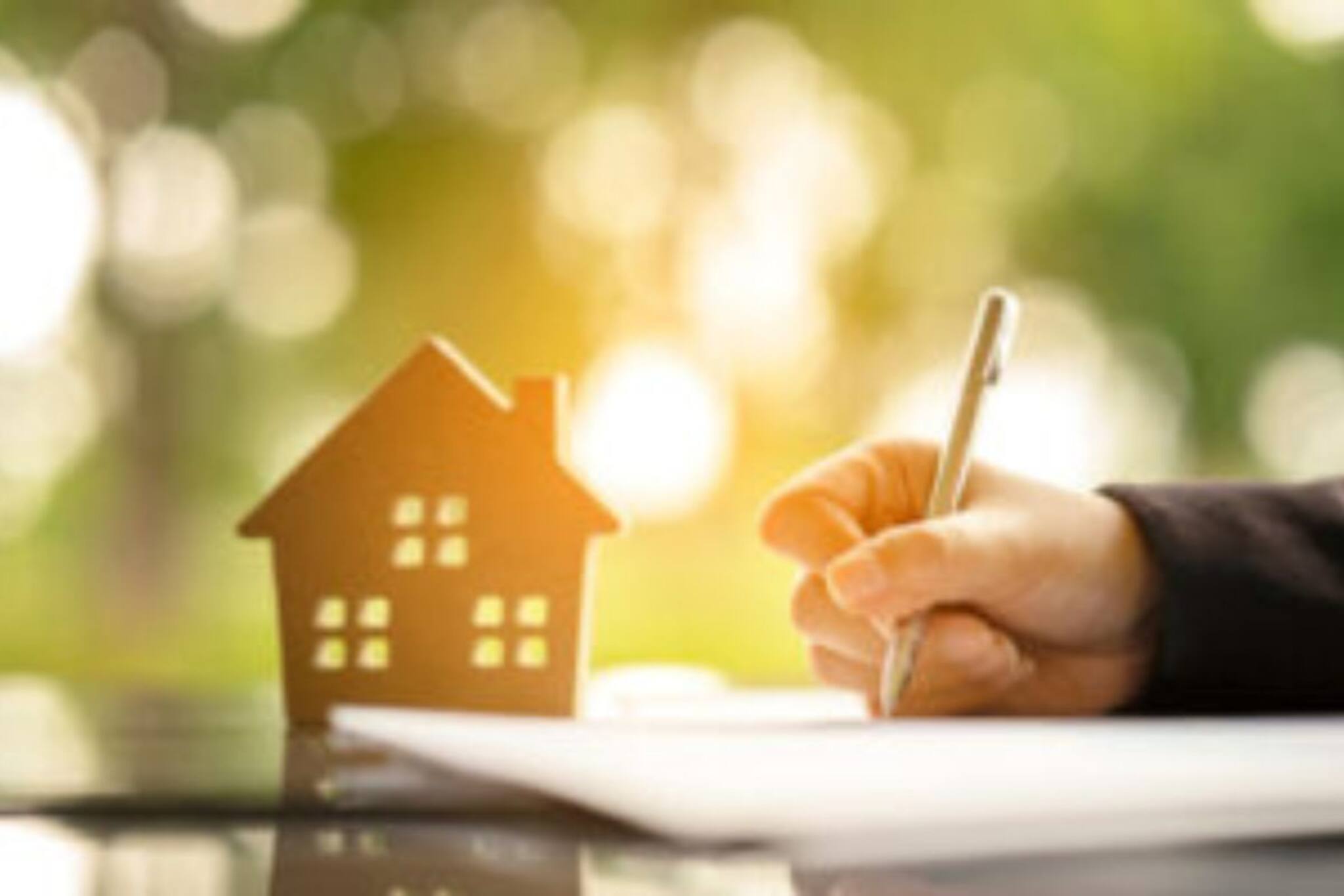 Murshidabad News: পুজোর আগেই হাতে পাট্টার কাগজ, উৎসবের মেজাজ হরিহরপাড়ায়!