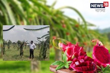 কর্পোরেট চাকরির মোহ নেই, পতিত জমিতে এই ফলের চাষ করে কোটিপতি তরুণ ইঞ্জিনিয়ার কর্পোরেট চাকরির মোহ নেই, পতিত জমিতে এই ফলের চাষ করে কোটিপতি তরুণ ইঞ্জিনিয়ার