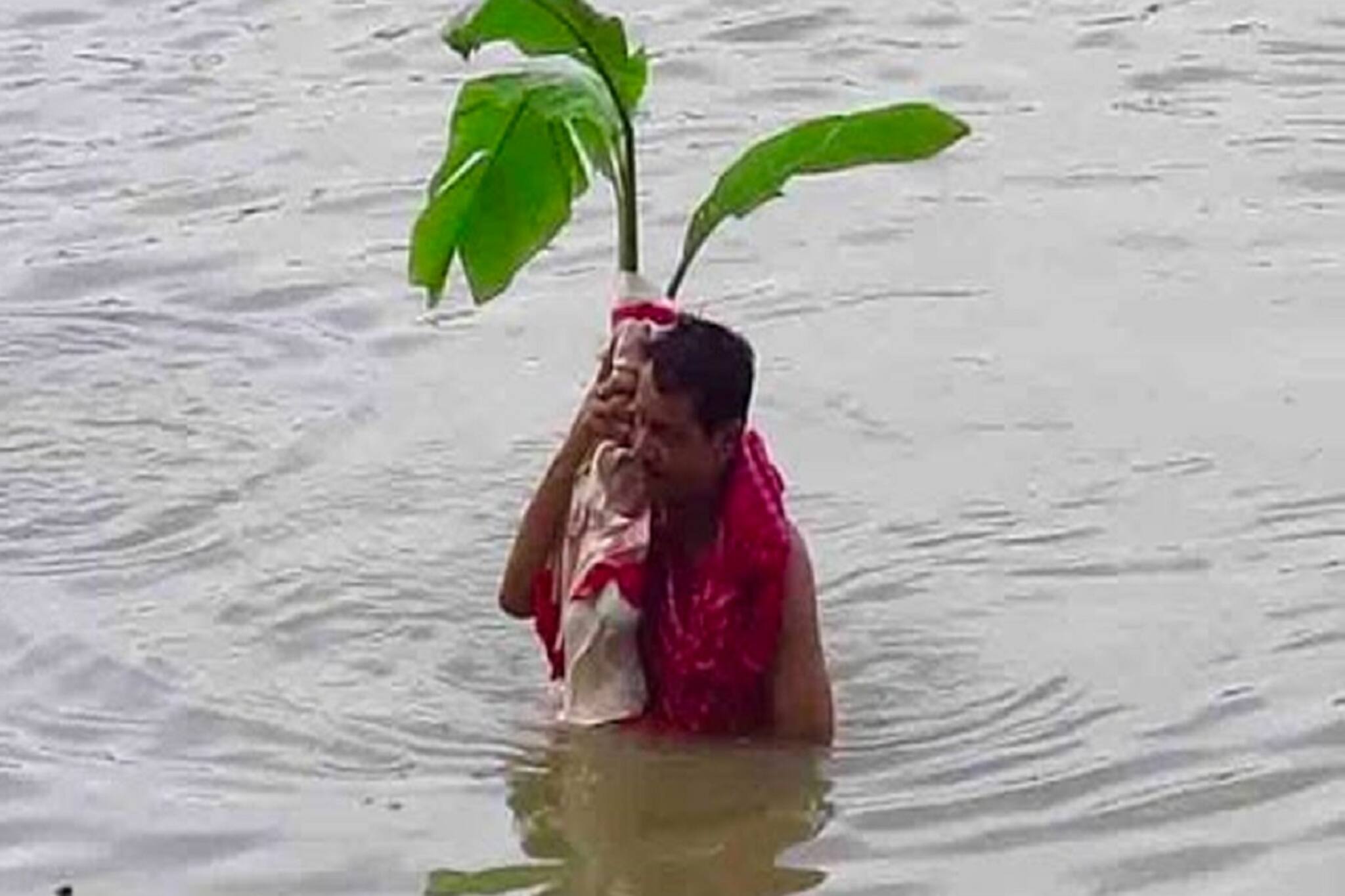 মন্তেশ্বরের চৌধুরি বাড়িতে প্রতিমা নয়, পুজো হয় নবপত্রিকায়
