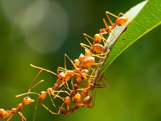 প্রতীকী ছবি