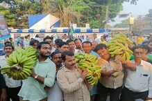 সিপিআইএম-র বিরুদ্ধে কলা 'চুরির' বিস্ফোরক অভিযোগ, অভিনব প্রতিবাদে তৃণমূল সিপিআইএম-র বিরুদ্ধে কলা 'চুরির' বিস্ফোরক অভিযোগ, অভিনব প্রতিবাদে তৃণমূল