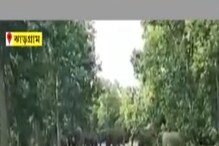 ফের লালগড়ে হাতির হানা, সকালে ক্ষেতে দাঁপিয়ে বেরাল দাঁতালের দল ফের লালগড়ে হাতির হানা, সকালে ক্ষেতে দাঁপিয়ে বেরাল দাঁতালের দল