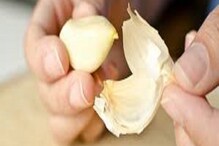 Garlic Peel: নোংরা, আবর্জনা মনে করে ফেলে দিচ্ছেন রসুনের খোসা! ফিট থাকতে আজই ব্যবহার করুন, লক্ষ লক্ষ গুণ একসঙ্গে Garlic Peel: নোংরা, আবর্জনা মনে করে ফেলে দিচ্ছেন রসুনের খোসা! ফিট থাকতে আজই ব্যবহার করুন, লক্ষ লক্ষ গুণ একসঙ্গে