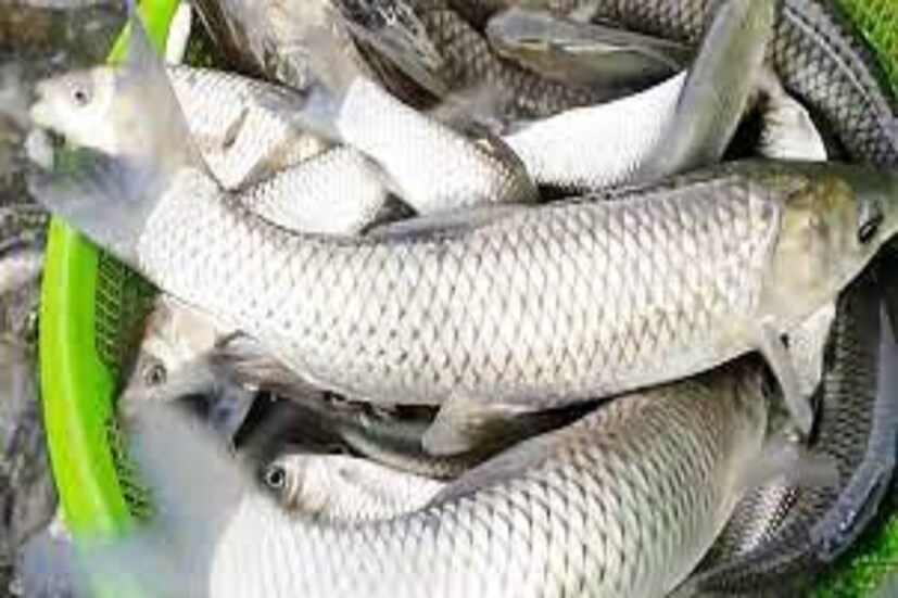 তবে অন্যবারের মত এবারেও অনুব্রত সম্পর্কে সিবিআইয়ের অভিযোগ তিনি তদন্তে সহযোগিতা করছেন না ৷ ফাইল ছবি ৷