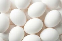 Egg Detection: ভাল-মন্দ ডিম চেনার সুপারহিট টিপস! বাজারে গিয়ে হতে হবেনা নাজেহাল, টাটকাই নিয়ে আসুন বাড়িতে Egg Detection: ভাল-মন্দ ডিম চেনার সুপারহিট টিপস! বাজারে গিয়ে হতে হবেনা নাজেহাল, টাটকাই নিয়ে আসুন বাড়িতে
