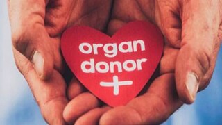 অঙ্গ দানের মাধ্যমেই সুরক্ষিত এবং সুন্দর হোক ভবিষ্যৎ! সচেতনতা গড়ার অঙ্গীকার করল কলকাতার এক হাসপাতাল (Representative Image) অঙ্গ দানের মাধ্যমেই সুরক্ষিত এবং সুন্দর হোক ভবিষ্যৎ! সচেতনতা গড়ার অঙ্গীকার করল কলকাতার এক হাসপাতাল (Representative Image)